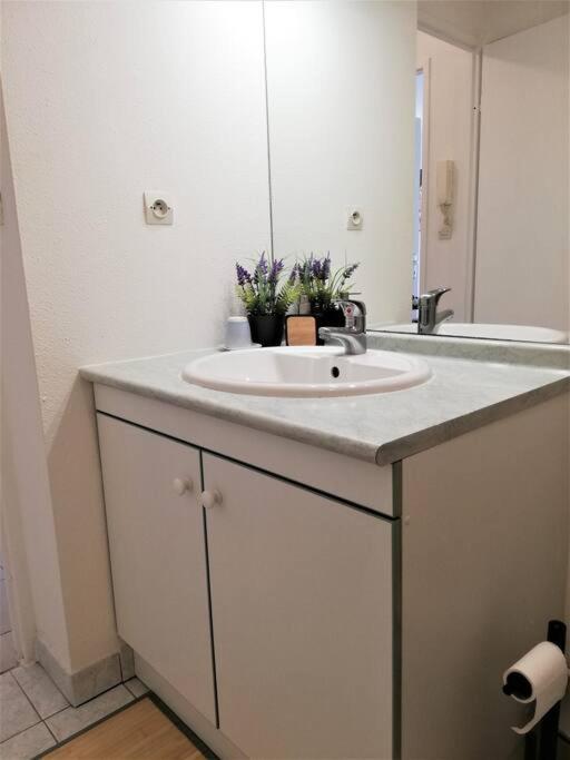 Et Moderne Grand Confort Appartement Toulouse
